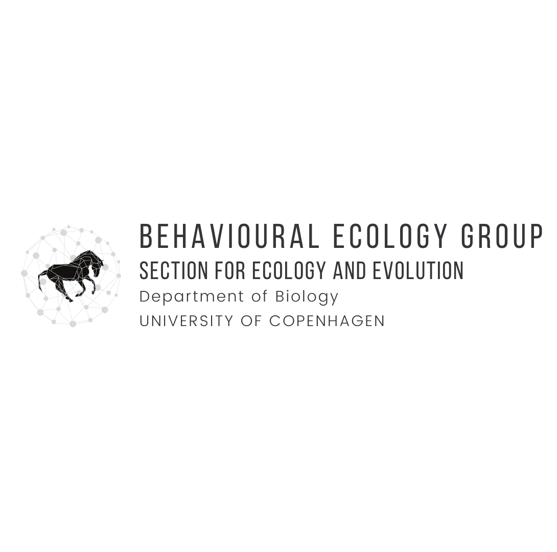 logo text black 1920 1080
